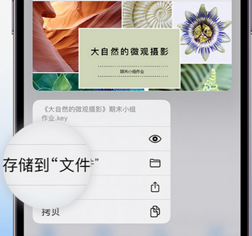 平原apple维修中心分享iPhone文件应用中存储和找到下载文件