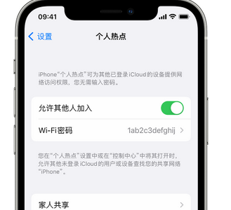 平原apple服务站点分享iPhone上个人热点丢失了怎么办 