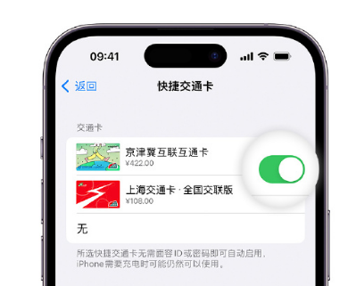 平原apple维修点分享iPhone上更换Apple Pay快捷交通卡手绘卡面 