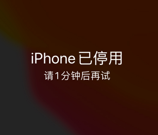 平原苹果手机维修分享:iPhone 显示“不可用”或“已停用”怎么办？还能保留数据吗？ 