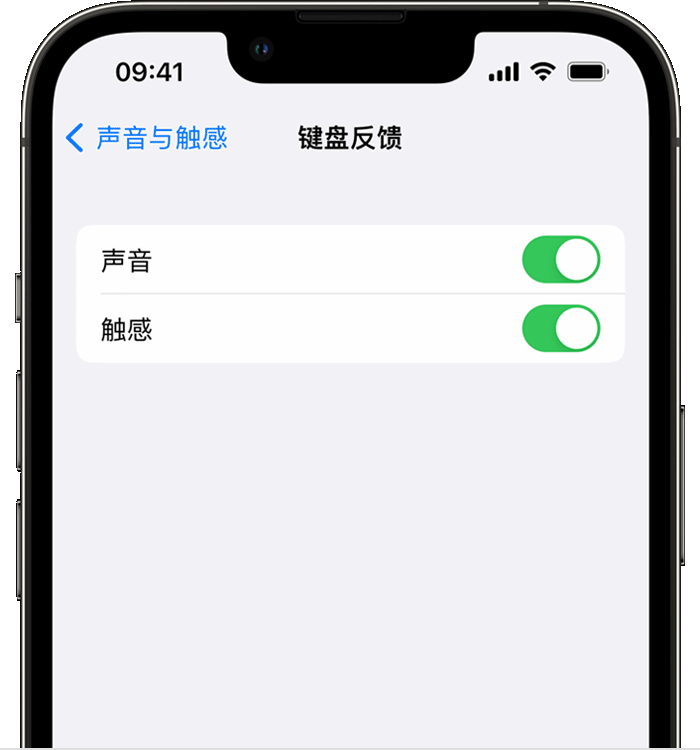 平原苹果14维修店分享如何在 iPhone 14 机型中使用触感键盘 