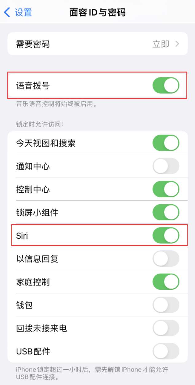 平原苹果维修网点分享不解锁 iPhone 的情况下通过 Siri 拨打电话的方法 