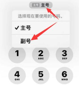 平原苹果14维修店分享iPhone 14 Pro Max使用副卡打电话的方法 