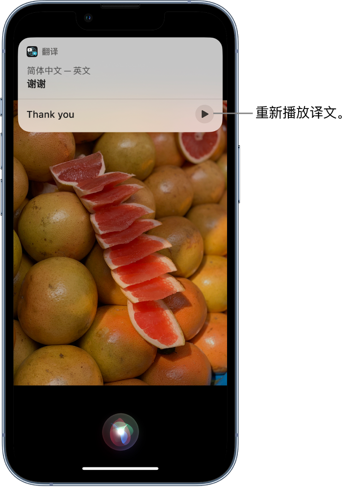 平原苹果14维修分享 iPhone 14 机型中使用 Siri：了解 Siri 能帮你做什么 