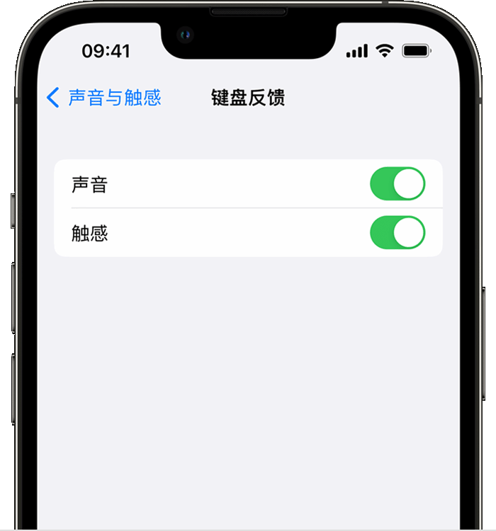 平原苹果14维修分享iPhone 14 系列机型如何开启键盘声音或触感反馈 