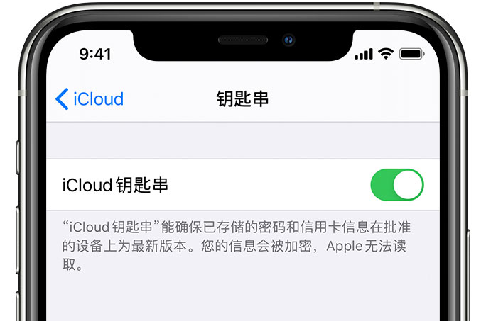 平原苹果手机维修分享在 iPhone 上开启 iCloud 钥匙串之后会储存哪些信息 