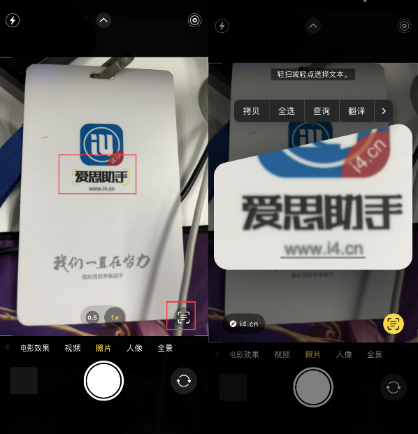 平原苹果手机维修分享升级iOS 16后如何通过相机翻译文本 