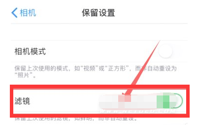 平原苹果13维修分享iPhone13拍照有绿点是怎么回事 