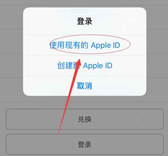 平原苹果手机维修分享两台iPhone设备可以同时登录一个Apple ID吗 