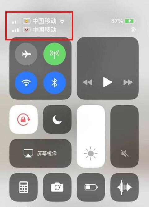 平原苹果手机维修分享为 iPhone 12 双卡设置标签 