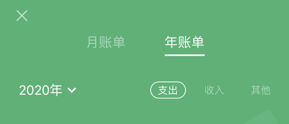 平原苹果手机维修分享如何在 iPhone 上查看支付宝和微信年支出账单 