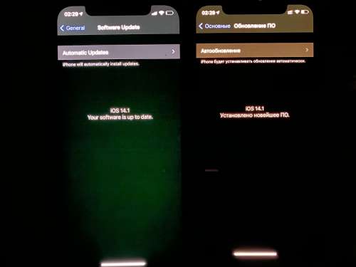 平原苹果手机维修分享iPhone 12 显示黑色画面时发绿光怎么办 